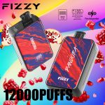 pandora fizzy 12000